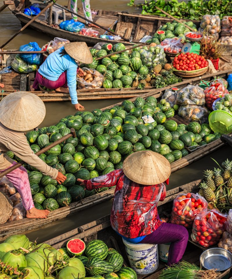 mekong delta